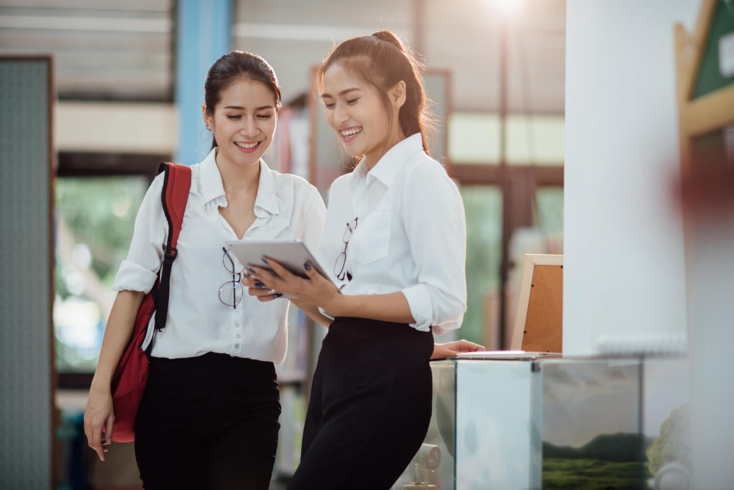 Assignment Help