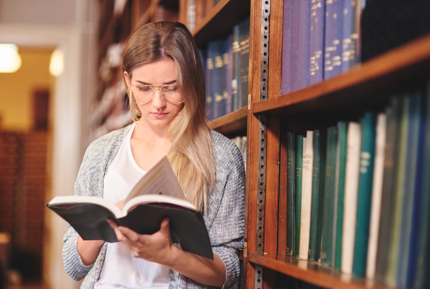 Assignment Help